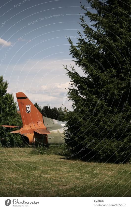 Pipipause für Kampfpiloten Maschine Technik & Technologie High-Tech Luftverkehr Natur Landschaft Himmel Wolken Schönes Wetter Pflanze Baum Wiese Flugzeug