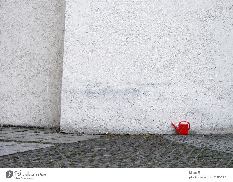 wo bitte gehts zum Garten Häusliches Leben Wohnung Haus Kirche Mauer Wand Fassade Terrasse Wege & Pfade Gießkanne außergewöhnlich groß klein unten rot