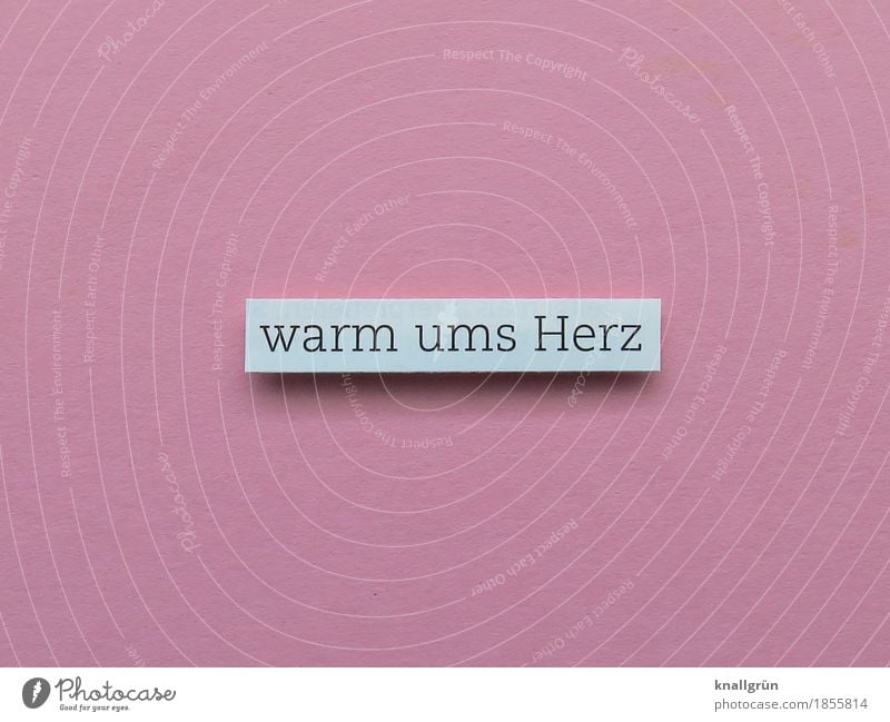 warm ums Herz Schriftzeichen Schilder & Markierungen Kommunizieren eckig kuschlig rosa weiß Gefühle Freude Glück Zufriedenheit Lebensfreude Vertrauen