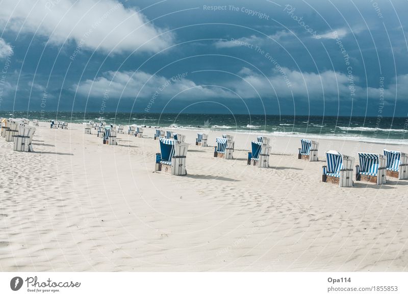 Strandkörbe Umwelt Natur Landschaft Himmel Sommer Wetter Schönes Wetter Wellen Küste Nordsee Meer Insel atmen blau grün "Freiheit Ruhe Strandkorb Sand Sandkorn