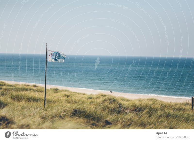 Weitblick Umwelt Natur Landschaft Pflanze Tier Sommer Klima Wetter Schönes Wetter Grünpflanze Wellen Küste Seeufer Strand Bucht Nordsee blau gelb grün "Fahne