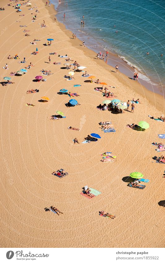 Vogelperspektive von Menschen am Strand Meer Tourismus Ferien & Urlaub & Reisen Sommerurlaub Pauschalreise Sonnenbad Erholung Schwimmen & Baden Menschenmenge