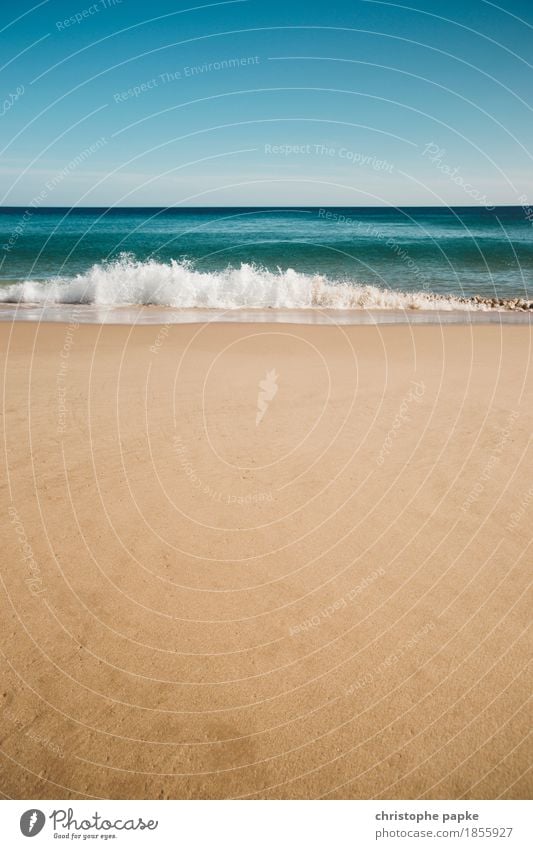 Mach ma keine Welle Ferien & Urlaub & Reisen Sommer Sommerurlaub Strand Meer Wellen Natur Landschaft Urelemente Himmel Wolkenloser Himmel Schönes Wetter Wärme