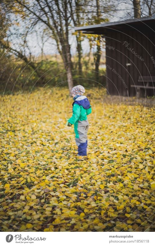 junge im herbstlaub Lifestyle Wohlgefühl Freizeit & Hobby Spielen Ferien & Urlaub & Reisen wandern Garten Kindererziehung Bildung Kindergarten lernen Beruf