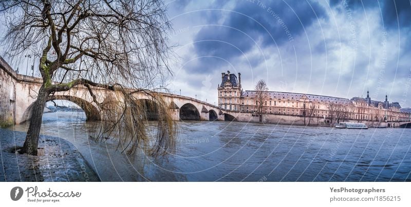 Willow am Ufer der Seine und Pont Royal Wolken Wetter Regen Baum Flussufer Stadt Hauptstadt überbevölkert Palast Brücke Bauwerk Gebäude Architektur alt