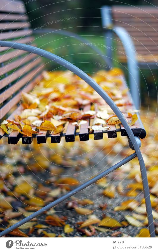 Zeit zum Ausruhen! Erholung ruhig Ferien & Urlaub & Reisen Ausflug Umwelt Natur Herbst Schönes Wetter Baum Garten Park Terrasse schön Jahreszeiten Bank Parkbank