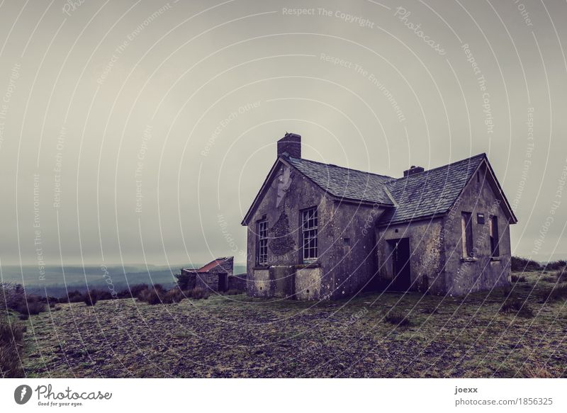 Günstig Himmel schlechtes Wetter Republik Irland Menschenleer Haus alt hässlich grau Verfall Ruine Farbfoto Gedeckte Farben Außenaufnahme Tag