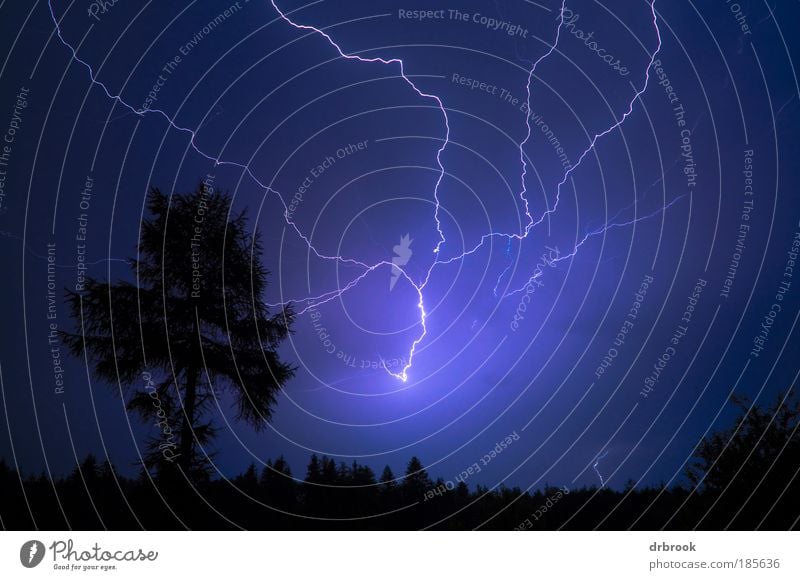 Gewitter Umwelt Natur Landschaft Urelemente Feuer Himmel Wolken Gewitterwolken Nachthimmel Wetter schlechtes Wetter Unwetter Sturm Blitze Baum Wald Dorf