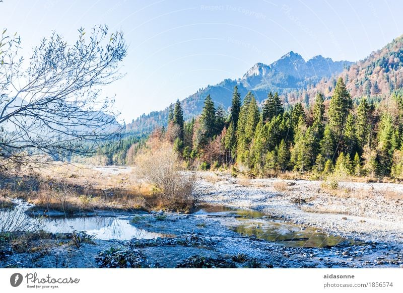 bachlauf in den alpen Landschaft Wasser Wolkenloser Himmel Herbst Schönes Wetter Berge u. Gebirge Alpen Bach Zufriedenheit achtsam Vorsicht Gelassenheit ruhig