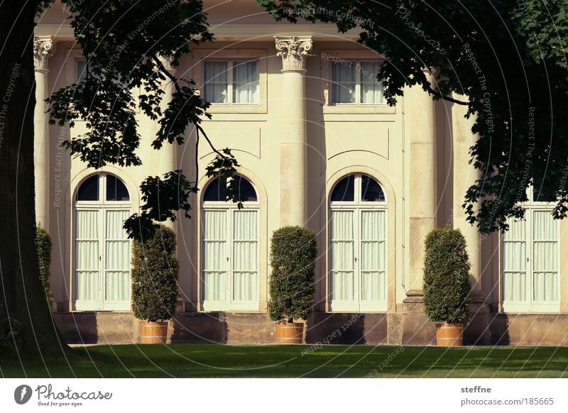 Villa Kunterbunt Baum Garten Park Wiese Traumhaus Architektur Burg oder Schloss Landhaus Reichtum ruhig Farbfoto Außenaufnahme Menschenleer Tag Schatten