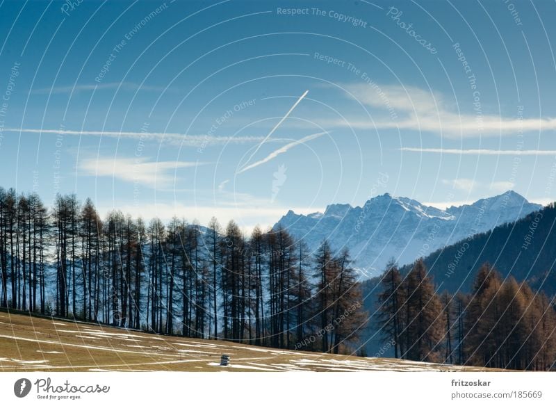 wiese/baum /berg Ferne Freiheit Schnee Berge u. Gebirge Himmel Wolken Herbst Baum Alpen Ortler Schlinig Südtirol blau braun Vinschgau auf & ab Farbfoto