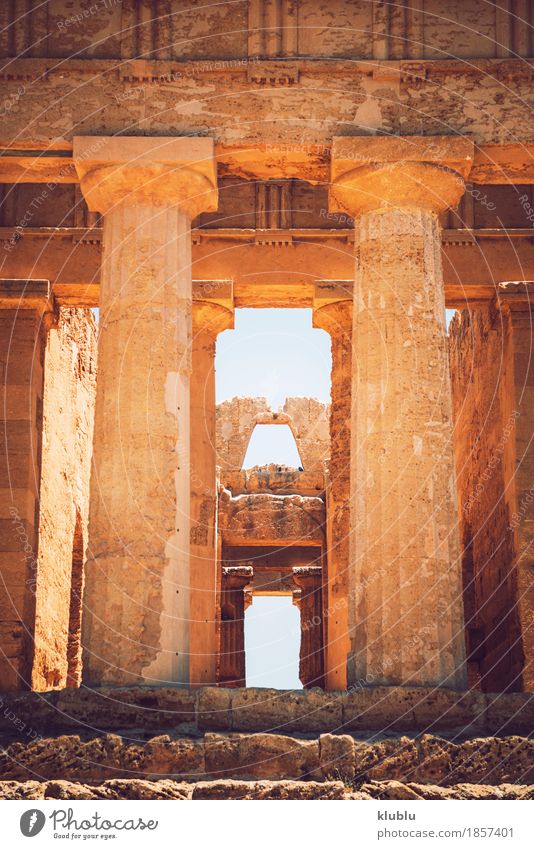 Tal der Tempel in Agrigent, Sizilien, Italien Ferien & Urlaub & Reisen Tourismus Museum Landschaft Ruine Architektur Stein alt historisch Religion & Glaube