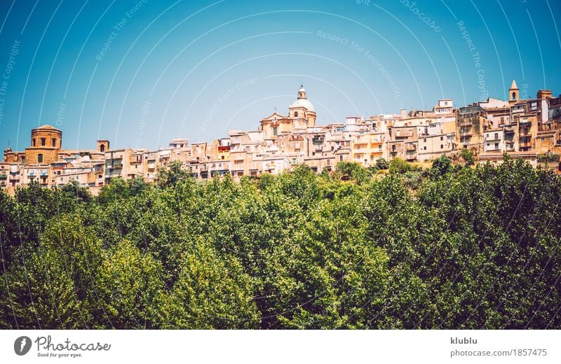 Panoramablick in Piazza Armerina, Sizilien, Italien Ferien & Urlaub & Reisen Insel Haus Dekoration & Verzierung Landschaft Pflanze Baum Kaktus Stadt Kirche