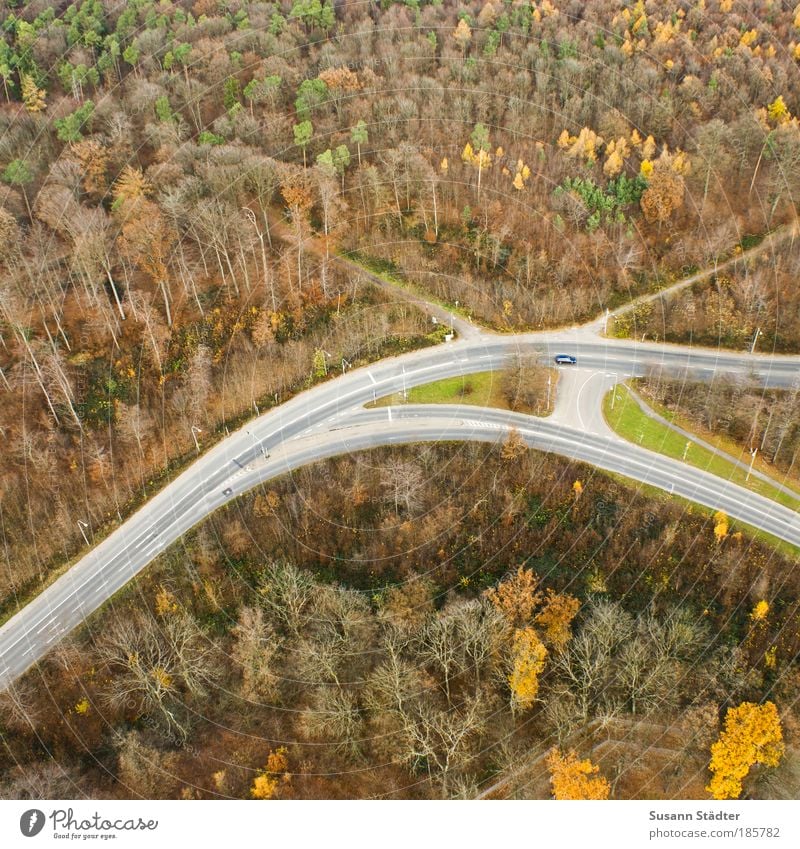 Herbst von oben Landschaft Baum Wald Stadtrand Menschenleer Platz Sehenswürdigkeit Verkehr Verkehrswege Personenverkehr Straße Straßenkreuzung Wege & Pfade