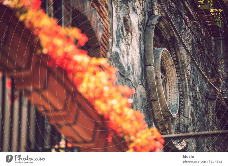 städtische sizilianische Dekoration in Sizilien, Italien Topf Meer Haus Dekoration & Verzierung Kunst Pflanze Blume Küste Kirche Gebäude Architektur Balkon