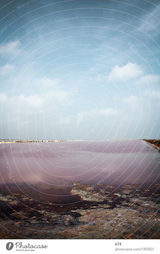 Ebro Farbfoto Außenaufnahme Tag Tageslicht Wasser Himmel Horizont Meer Teich See träumen anders fantastisch blau rosa Wolken Landschaft