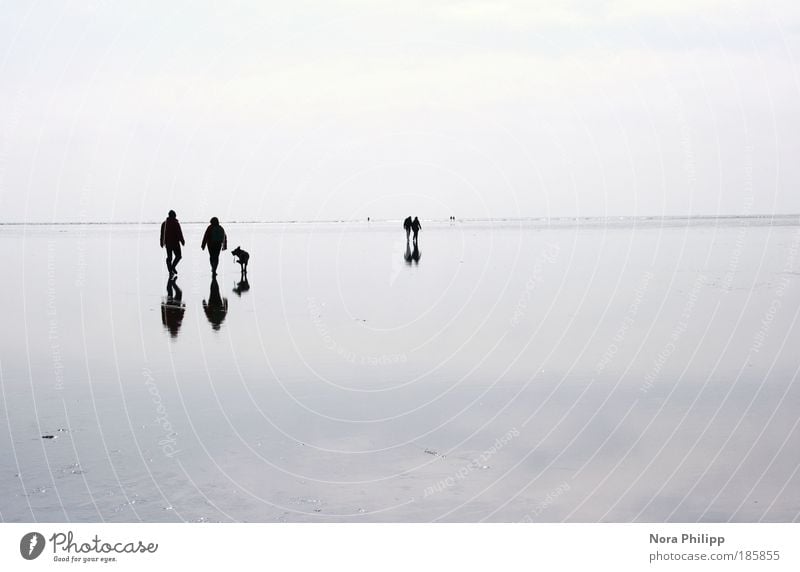 mirror ruhig Mensch Freundschaft Paar Partner Leben 4 Umwelt Natur Landschaft Urelemente Luft Wasser Klima Küste Strand Nordsee wandern blau Sympathie