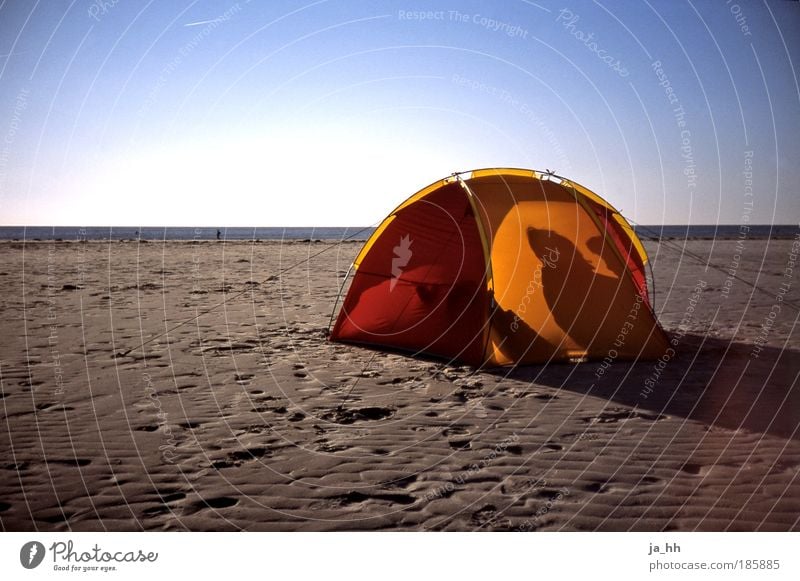 Ostsee Erholung ruhig Ausflug Ferne Freiheit Sommer Sonne Strand Meer Insel Wellen Mensch Mann Erwachsene Freundschaft Paar Partner 2 Erde Wasser Himmel Nordsee