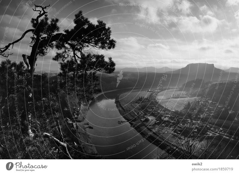 Am Fluss Umwelt Natur Landschaft Pflanze Wasser Himmel Wolken Horizont Frühling Klima Schönes Wetter Baum Kiefer Ast Zweige u. Äste Berge u. Gebirge Flussufer