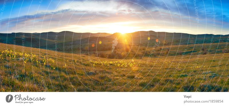 Panoramafeld mit Blumen und drastischem Himmel Ferien & Urlaub & Reisen Sommer Sommerurlaub Sonne Berge u. Gebirge Tapete Umwelt Natur Landschaft Pflanze Wolken