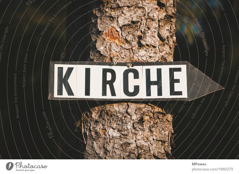 wegweiser Zeichen Schilder & Markierungen Hinweisschild Warnschild alt Kirche Religion & Glaube Wegweiser Baum Baumstamm Buchstaben Pfeil Christentum Farbfoto