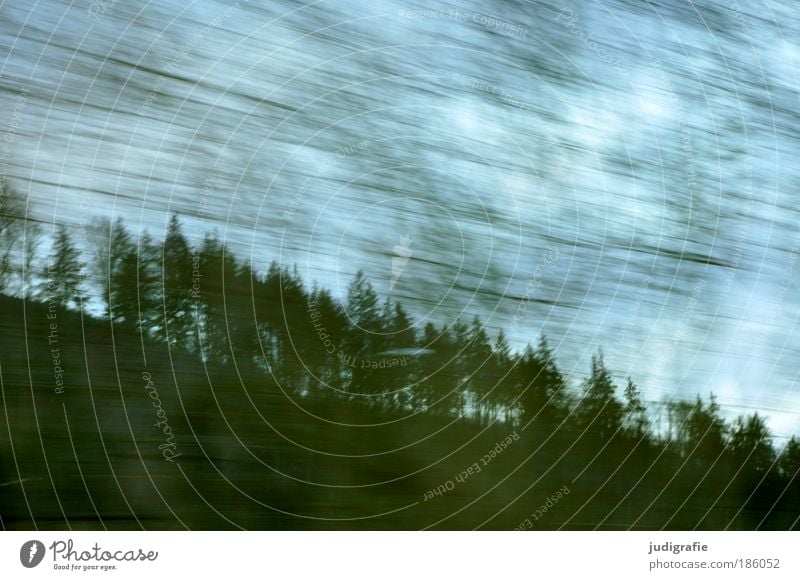 Autobahn Umwelt Natur Landschaft Himmel Baum Wald Verkehr Autofahren Straße dunkel Geschwindigkeit Bewegung Ferien & Urlaub & Reisen Dynamik Farbfoto