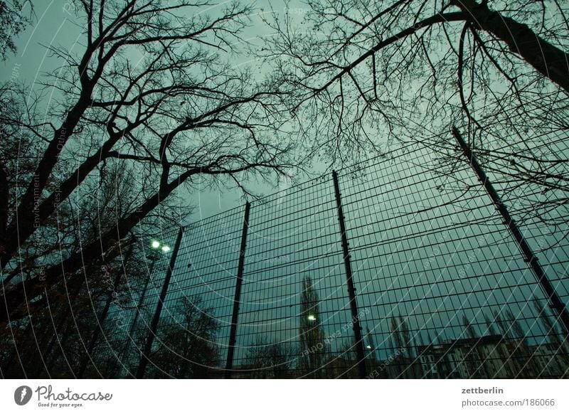 Spocht November Fußballplatz Gitter Pferch Zaun Metallzaun Park Flutlicht Freizeit & Hobby Justizvollzugsanstalt Baum Baumstamm Ast Zweig Abend dunkel Dämmerung