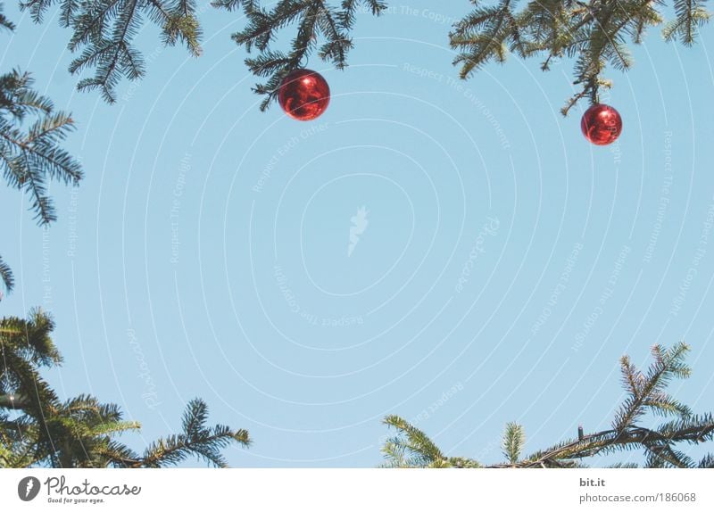 ADVENTSKRANZ Feste & Feiern Natur Luft Himmel Wolkenloser Himmel Winter Schönes Wetter glänzend hängen blau rot Stimmung Tradition Weihnachten & Advent