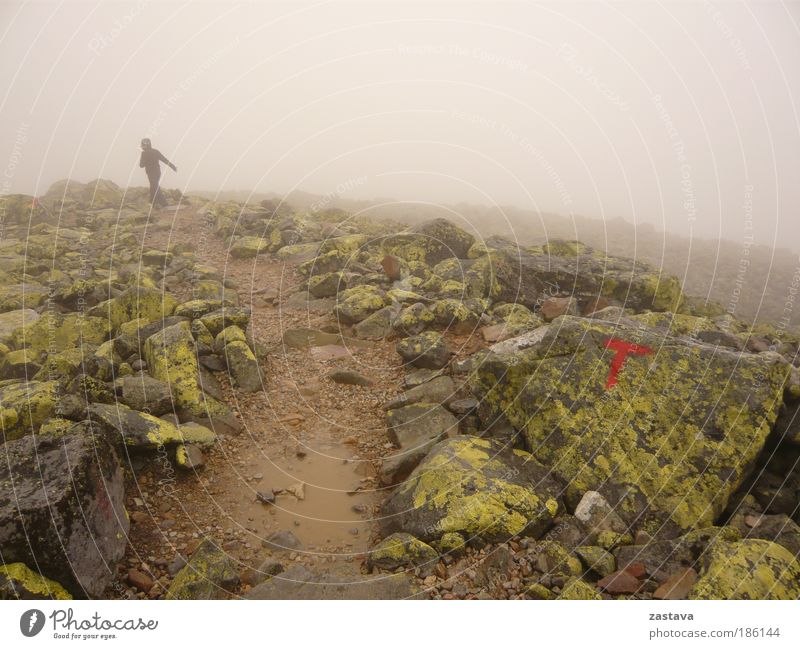 Running Woman Bergsteigen wandern Fußweg Weg Abenteuer Freiheit Berge u. Gebirge Klettern Landschaft Urelemente Erde Wasser schlechtes Wetter Wind Sturm Nebel