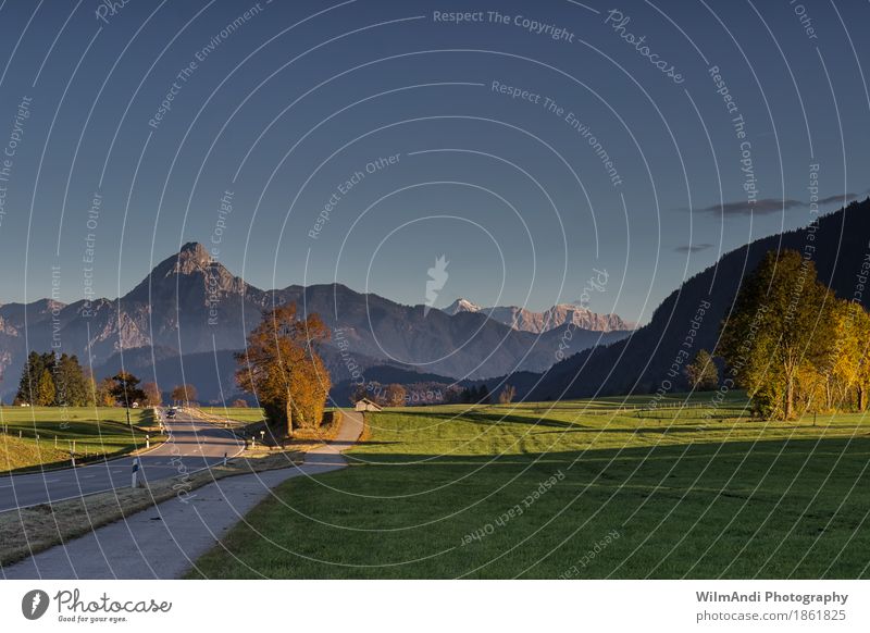 Herbst am Weissensee Berge u. Gebirge wandern Klettern Bergsteigen Natur Landschaft Wolkenloser Himmel Schönes Wetter Baum Gras Alpen Gipfel Wiese Herbstfärbung