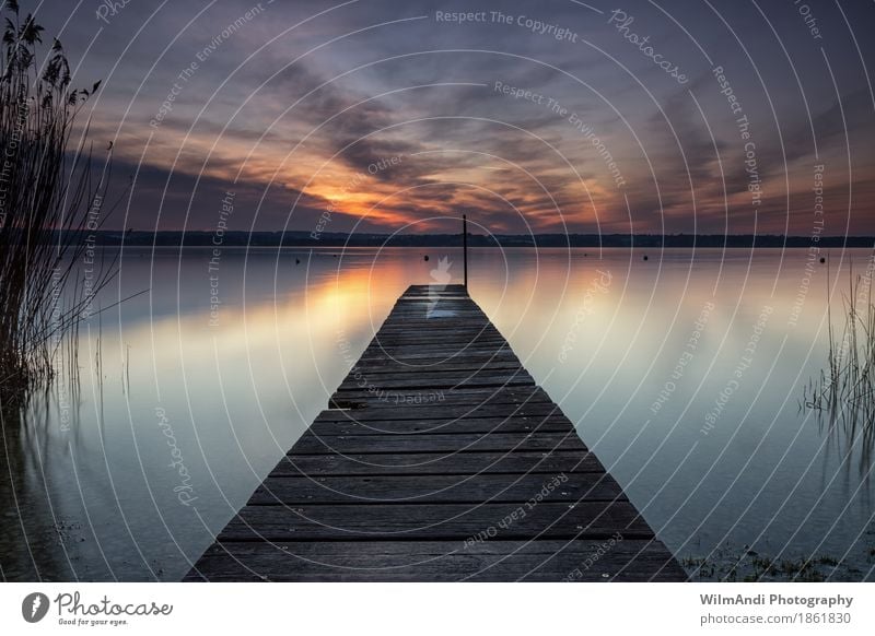 Träumen Sonne Landschaft Wasser Wolken Sonnenaufgang Sonnenuntergang Herbst Schönes Wetter Seeufer Erholung träumen Zufriedenheit Kraft ruhig Abenddämmerung