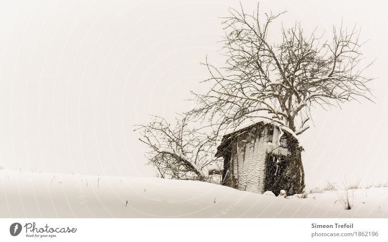 Winterhütte Schnee wandern schlechtes Wetter Schneefall Baum Feld Hügel Menschenleer Hütte alt bedrohlich dunkel gruselig schwarz Traurigkeit Trauer Tod