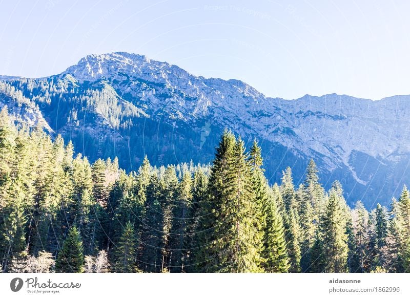 Alpen Natur Landschaft Pflanze Herbst Schönes Wetter Baum Felsen Berge u. Gebirge Gipfel Schneebedeckte Gipfel atmen Liebe wandern Farbfoto Außenaufnahme