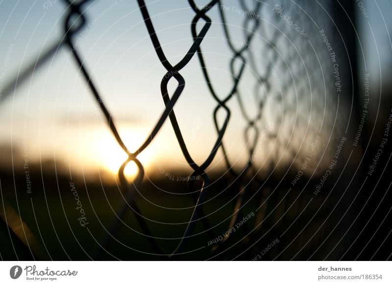 busted Ballsport Sportstätten Fußballplatz Stadion Wiese bauen berühren bedrohlich hässlich hoch stachelig Sehnsucht Todesangst Platzangst Aggression Gewalt