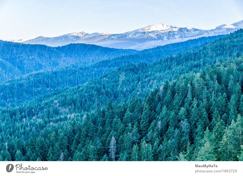 Rila-Bergsteiger Natur Landschaft Pflanze Himmel Frühling Sommer Herbst Winter Klima Klimawandel Schönes Wetter Baum Wald Berge u. Gebirge Erfolg Romantik