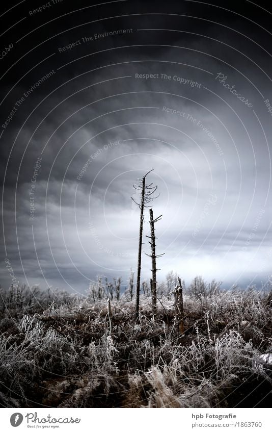 Hohe Rhön Natur Landschaft Himmel Winter Klima schlechtes Wetter Eis Frost Schnee Baum Feld Wald Hügel Berge u. Gebirge außergewöhnlich bedrohlich frisch kalt