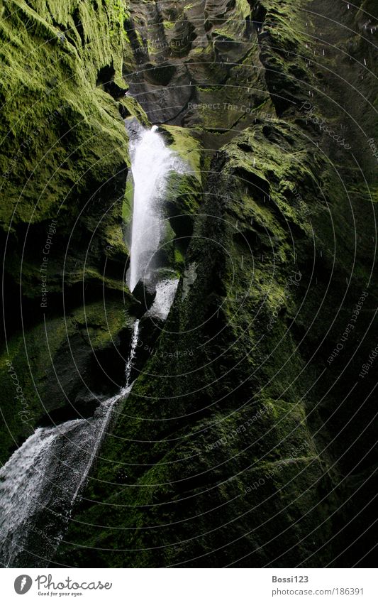 Island02 Natur Landschaft Wasser Wassertropfen Moos Schlucht Bach Wasserfall Stein dunkel grün Höhle Lichteinfall Farbfoto Außenaufnahme Menschenleer Tag