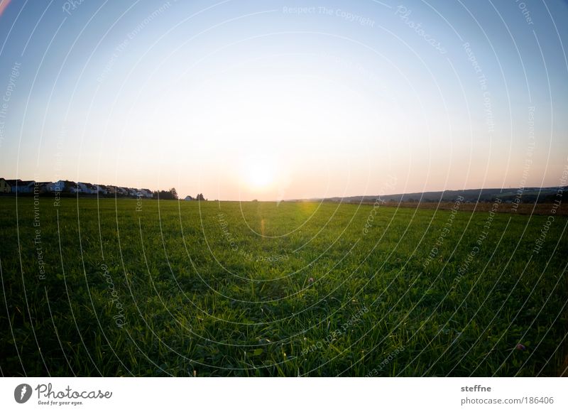 Sonnenuntergänge habens schwer Landschaft Wolkenloser Himmel Sonnenaufgang Sonnenuntergang Schönes Wetter Gras Wiese Feld Kitsch Gefühle Verliebtheit Romantik