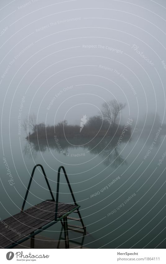 Inseltraum Ausflug Herbst Winter Baum Sträucher Seeufer Teich ästhetisch dunkel gruselig kalt natürlich grau grün Zufriedenheit Einsamkeit Endzeitstimmung