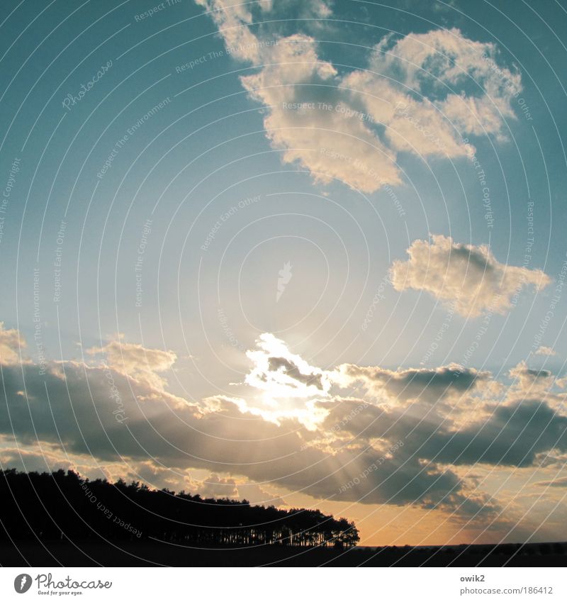 Wird Zeit Natur Landschaft Pflanze Urelemente Luft Himmel Wolken Horizont Sonnenaufgang Sonnenuntergang Sonnenlicht Herbst Klima Schönes Wetter Feld Wald