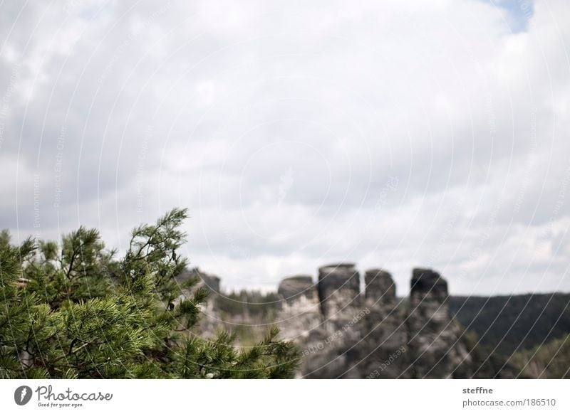 steinalt Umwelt Natur Landschaft Wolken Felsen Berge u. Gebirge Elbsandsteingebirge Schlucht Farbfoto Außenaufnahme Menschenleer Textfreiraum oben