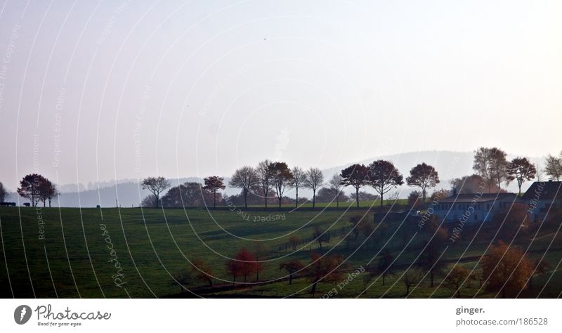 Herbst im Bergischen Land Umwelt Natur Landschaft Himmel Horizont Schönes Wetter Baum Gras Sträucher Wiese Feld dunkel Ferne braun grün weiß Stimmung Einsamkeit