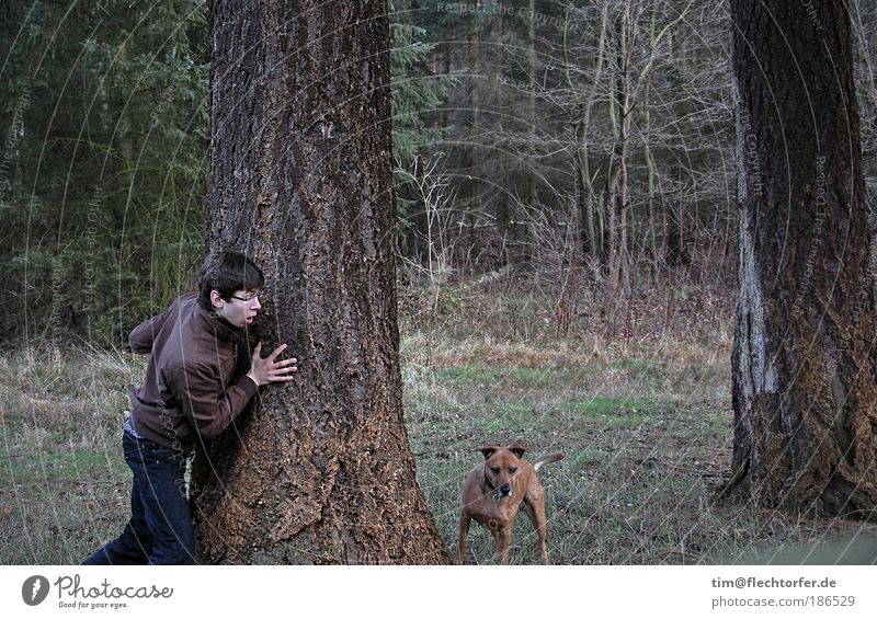 Räuber und Schandarm Jagd Ausflug wandern Mensch maskulin Junger Mann Jugendliche 1 Haustier Hund Tier Holz gehen Umarmen wild blau braun grün Stimmung Schutz