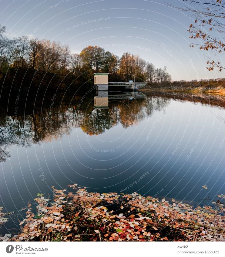 Am Damm Umwelt Natur Landschaft Pflanze Wolkenloser Himmel Horizont Herbst Klima Schönes Wetter Baum Gras Blatt Zweig Laubwald Herbstlaub Herbstfärbung Bauwerk