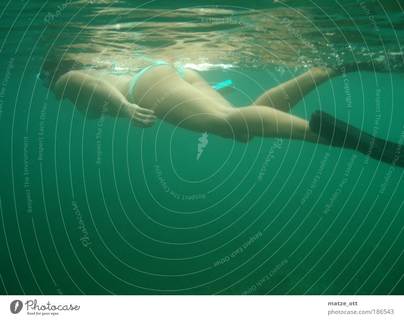 Into the Green Erholung ruhig Schwimmen & Baden Ferien & Urlaub & Reisen Tourismus Sommerurlaub Meer Wellen tauchen Taucher Schnorcheln Schnorchler Schwimmbad