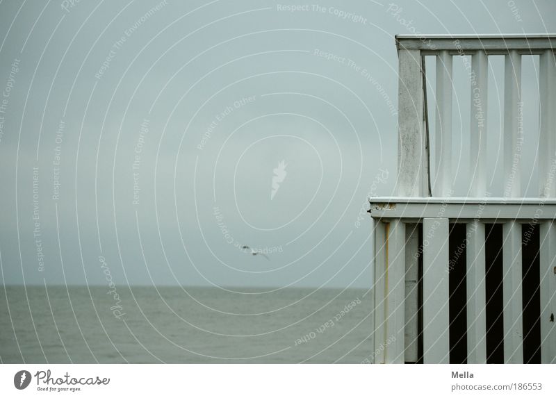 Trübe Aussichten mit Möwe Ferien & Urlaub & Reisen Tourismus Ausflug Ferne Freiheit Meer Umwelt Natur Wasser Himmel schlechtes Wetter Küste Nordsee Balkon