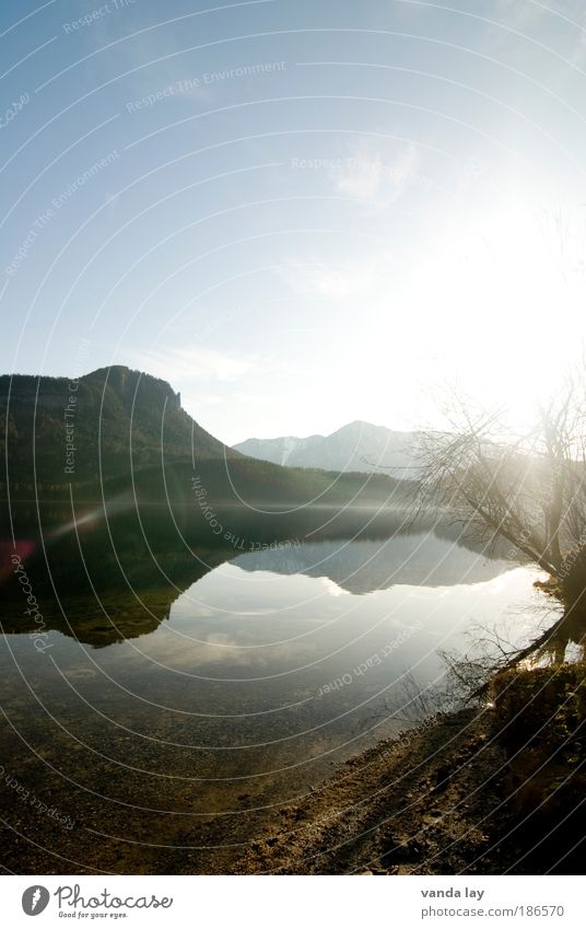 Altaussee I Umwelt Natur Landschaft Pflanze Urelemente Erde Wasser Himmel Sonne Sonnenlicht Herbst Winter Baum Alpen Berge u. Gebirge See altaussee ruhig