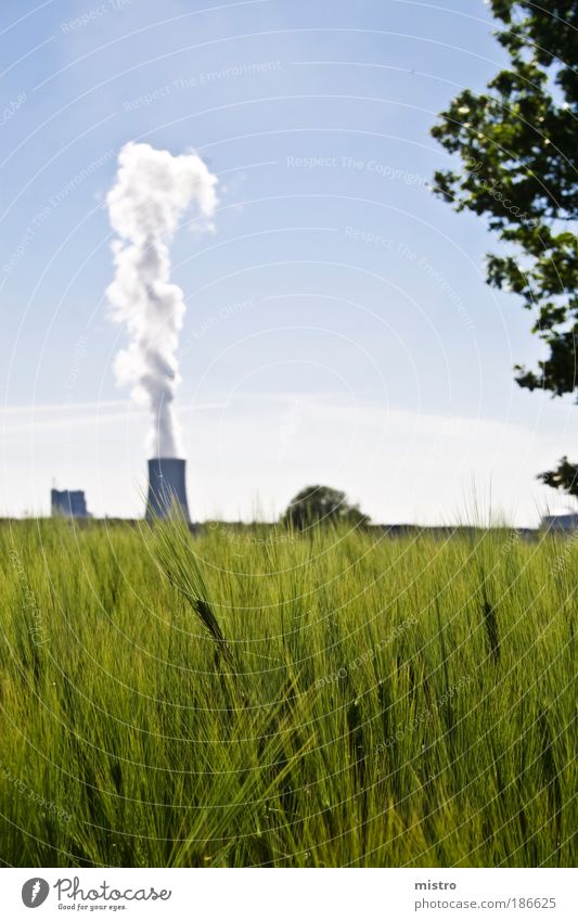 klimawandel Kohlekraftwerk Industrie Kunst Umwelt Natur Landschaft Himmel Wolkenloser Himmel Horizont Sommer Klima Klimawandel Schönes Wetter Wärme Pflanze