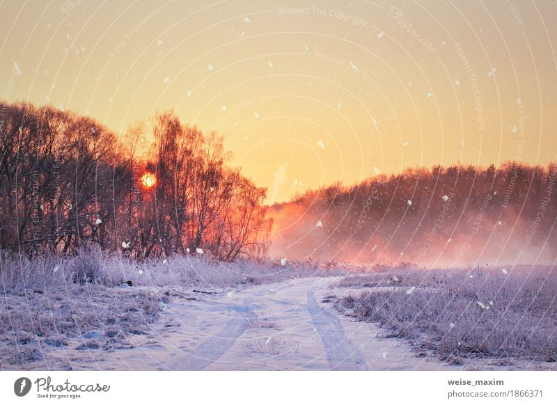 Nebelhafter Sonnenaufgang des Winters. Ländliche nebelige und frostige Szene Ferien & Urlaub & Reisen Ferne Freiheit Schnee wandern Natur Landschaft Luft Himmel