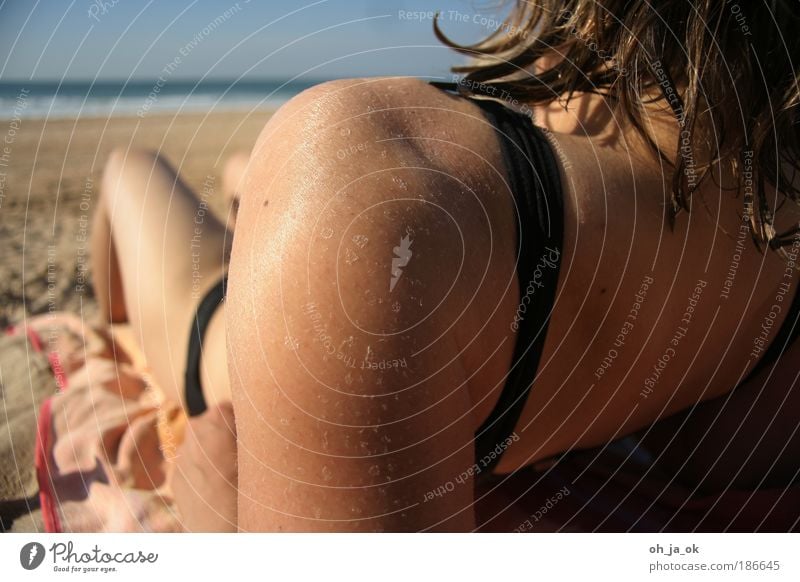 Salz auf Ihrer Haut Freude Wohlgefühl Schwimmen & Baden Ferien & Urlaub & Reisen Sommer Sommerurlaub Sonne Sonnenbad Strand Meer feminin Frau Erwachsene